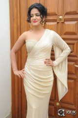 Vishakha Singh at Rowdy Fellow Movie Audio Launch